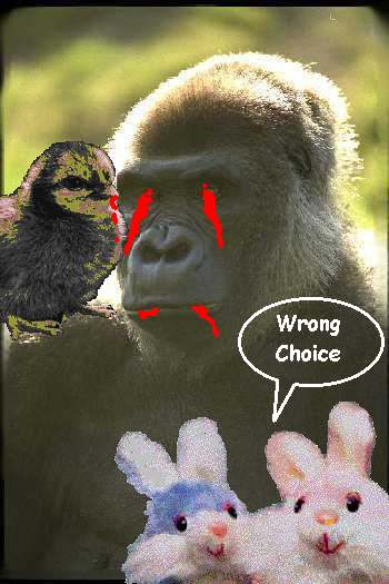 http://www.jelloboy.com/GORILLA/badgorilla.jpg